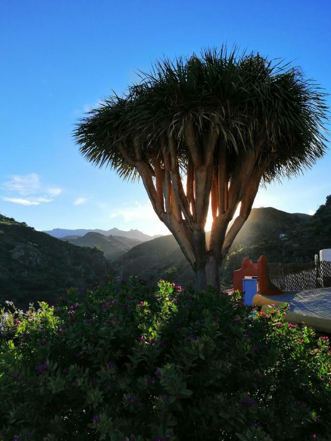 Vivelorural Casa La Cuevita, Santa Brigida エクステリア 写真